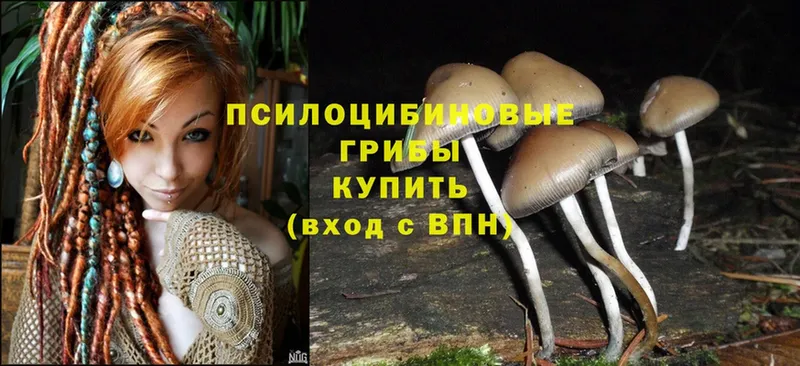 Псилоцибиновые грибы Magic Shrooms  закладки  Бокситогорск 